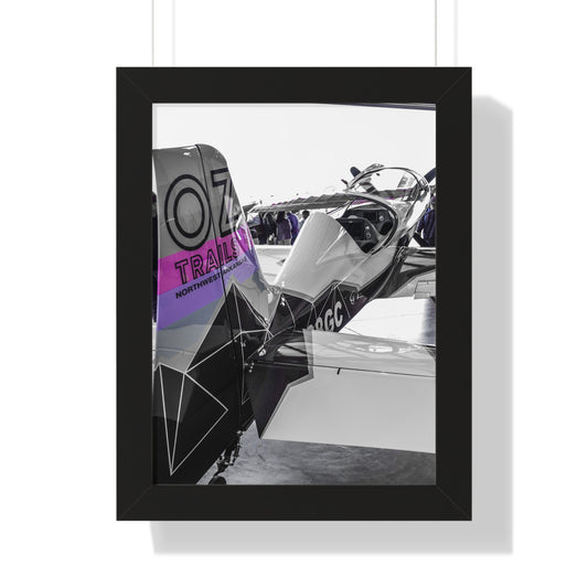 Majesty: Airplane at Texas Aviation Show - Photography Print
