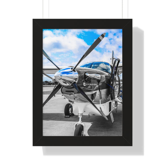 Kodiak Majesty: Airplane - Framed Photography Print