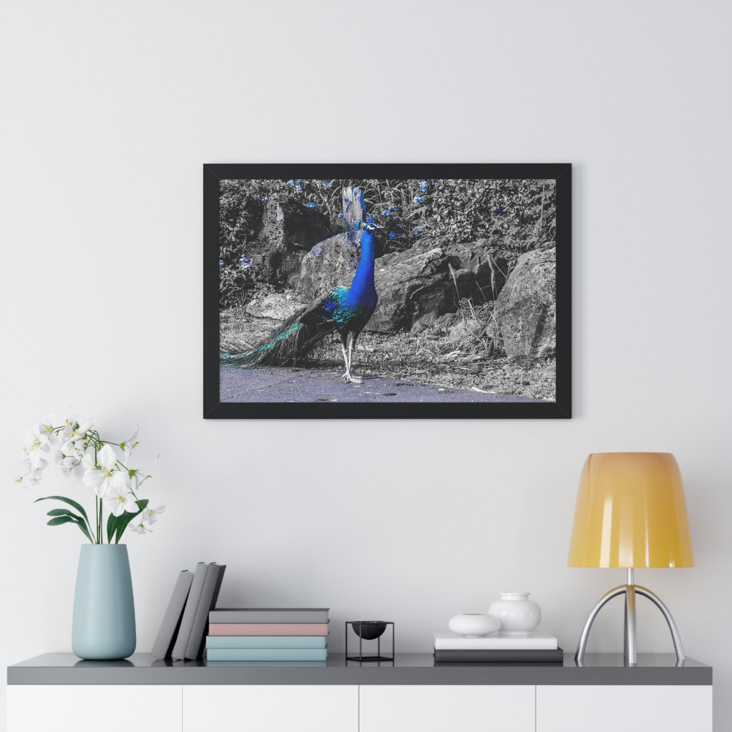 Majestic Peacock: Tropical Stroll in Hawaii - Framed Photography Print