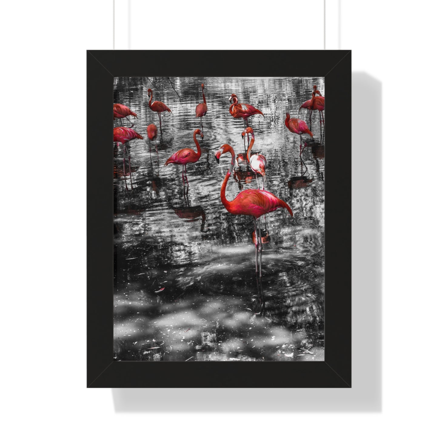 Flamingo Elegance: A Splash of Color- Framed Photography Print