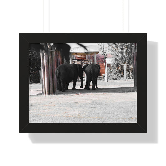 Bonds of Friendship: Elephants in Harmony - Framed Photography Print
