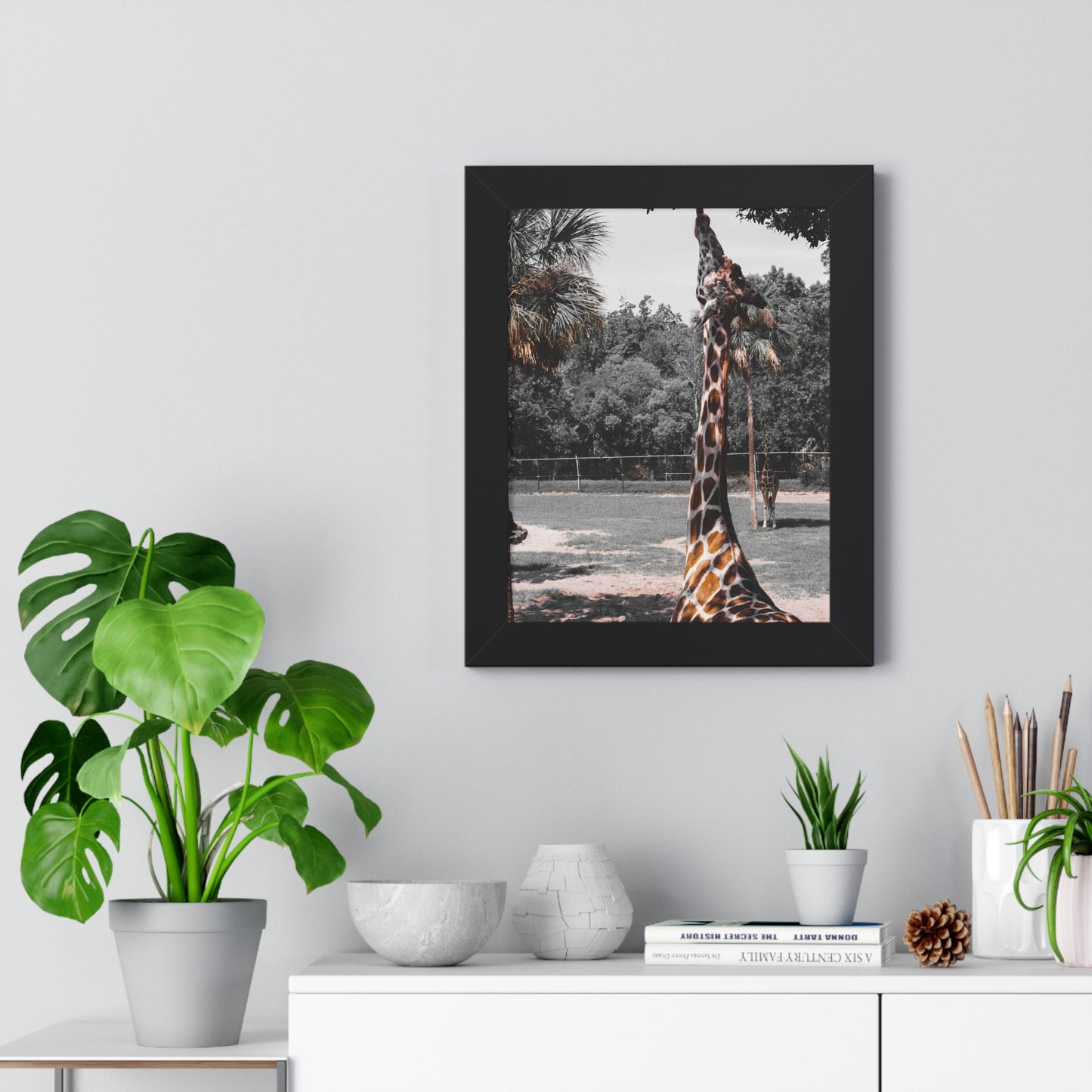 Reaching New Heights: A Giraffe in the Wild- Framed Photography Print