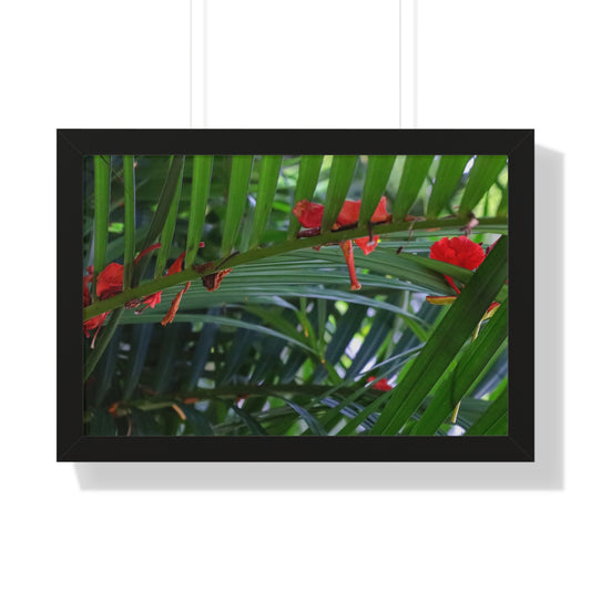 Serene Tropics: Vibrant Plant at Sandals Resort - Framed Photography Print