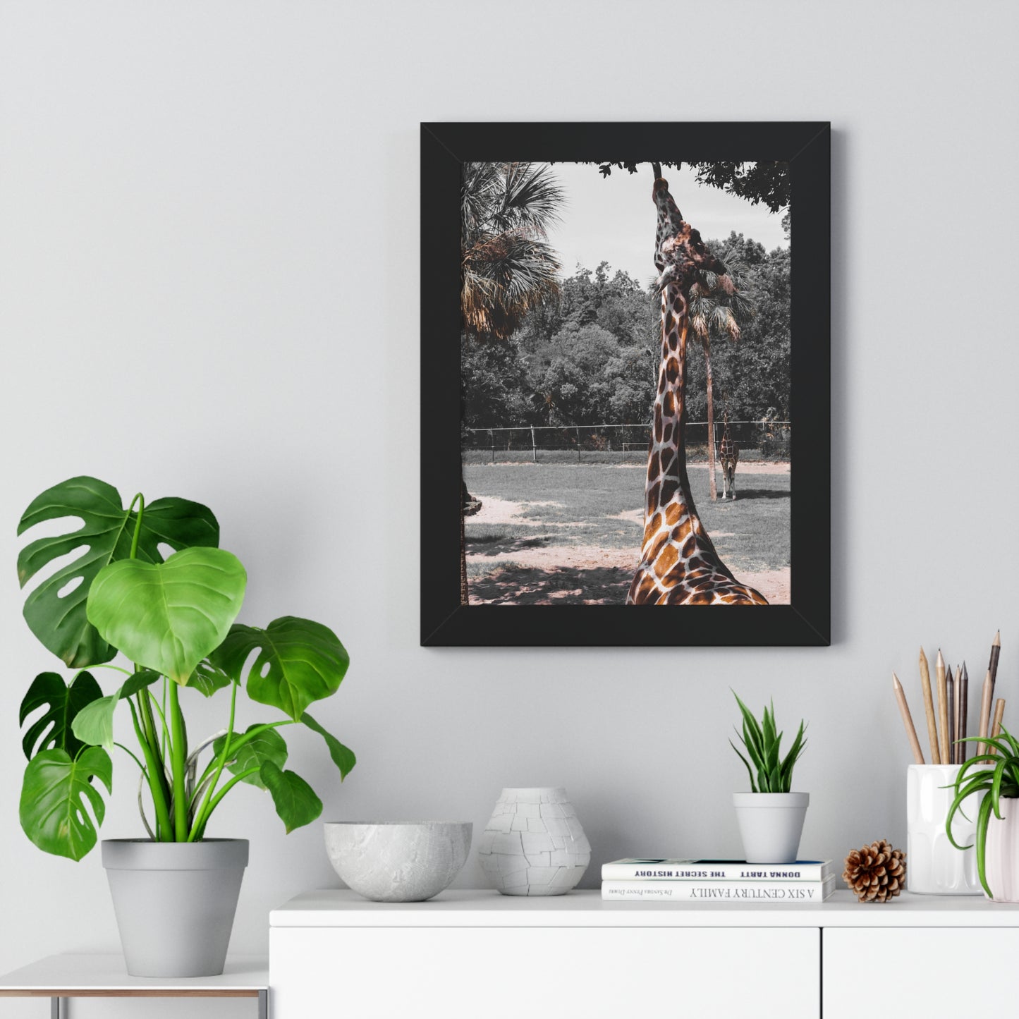 Reaching New Heights: A Giraffe in the Wild- Framed Photography Print