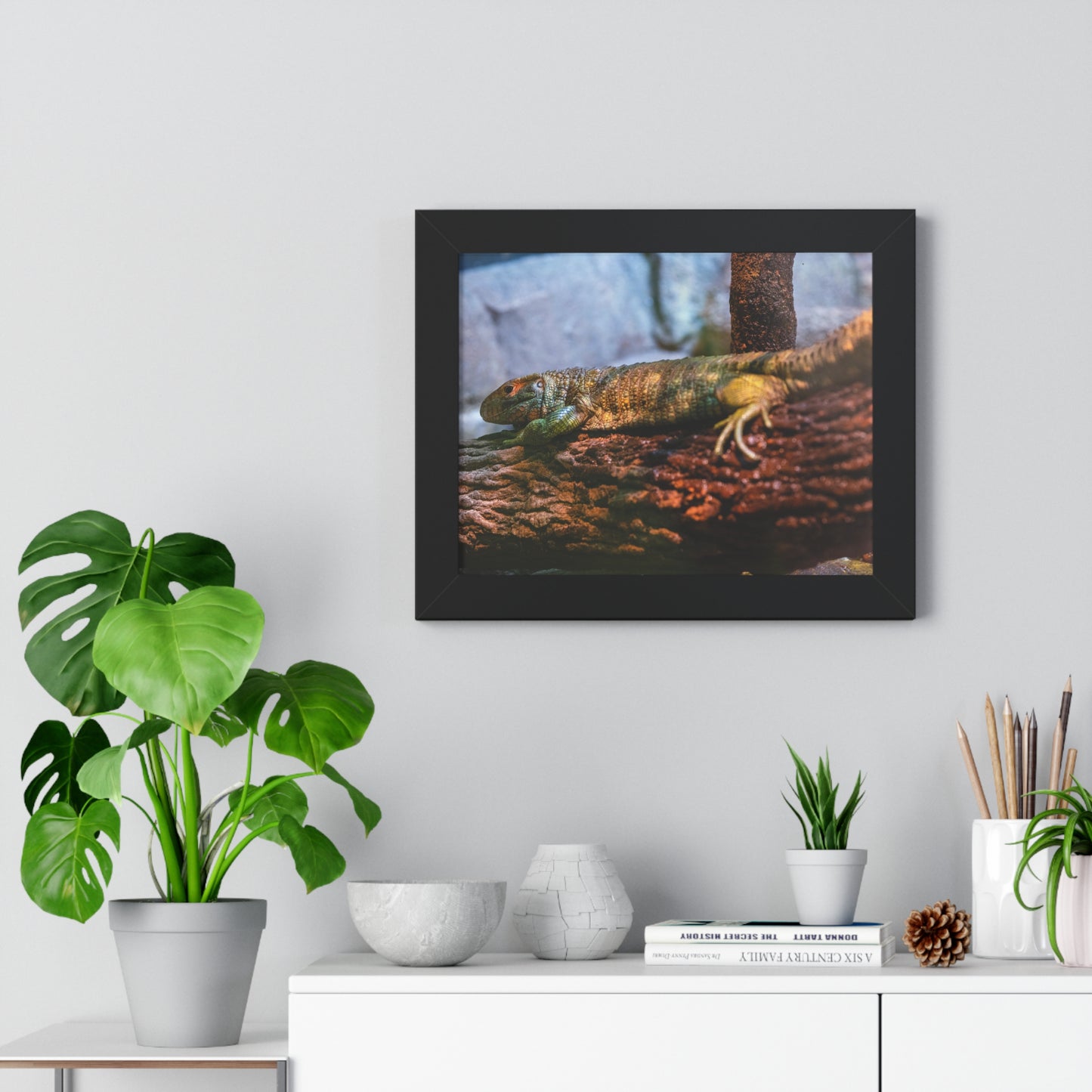 Serene Reptile: A Moment at the Jacksonville Zoo and Gardens - Framed Photography Print
