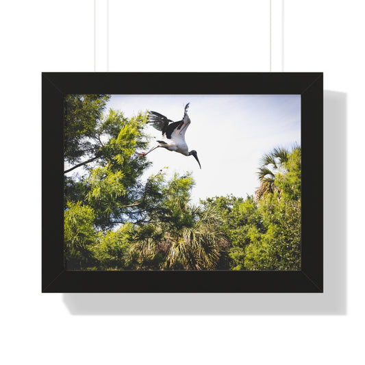 Majestic Presence: A Rhino by the Water - Framed Photography Print