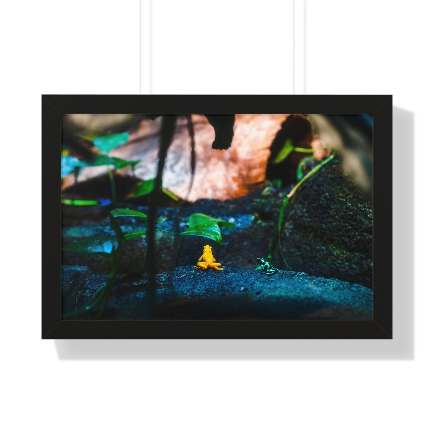 Colorful Contrast: Frogs in Their Habitat - Framed Photography Print