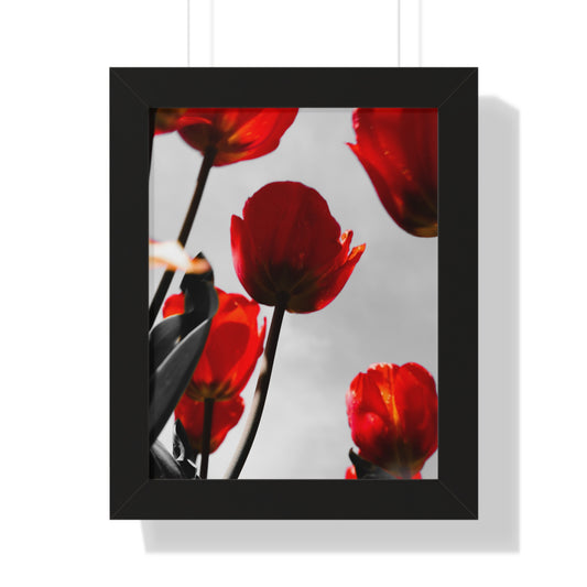 Cheekwood Gardens Open Bloom Floral Wall Art