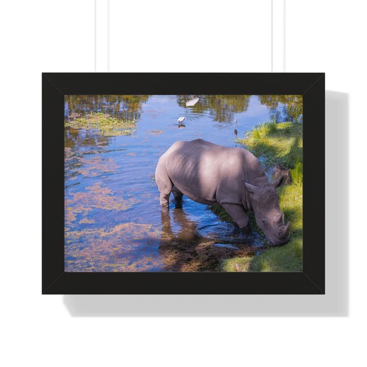 Majestic Presence: A Rhino by the Water - Framed Photography Print