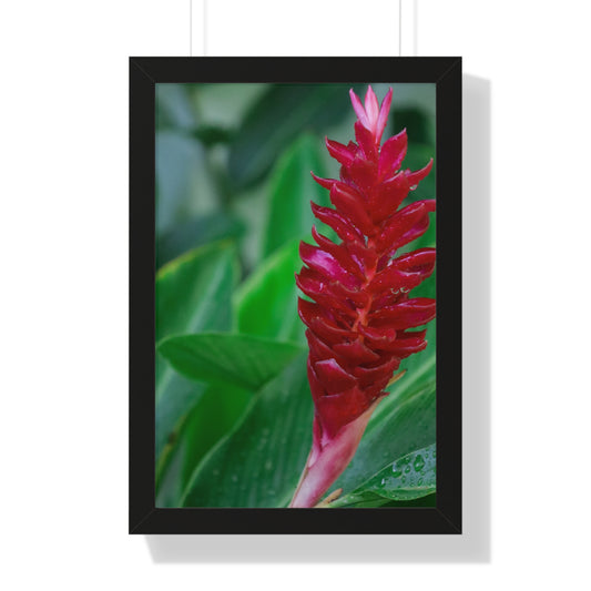 Tropical Bliss: Lush Plant Life at Sandals Resort -Framed Photography Print