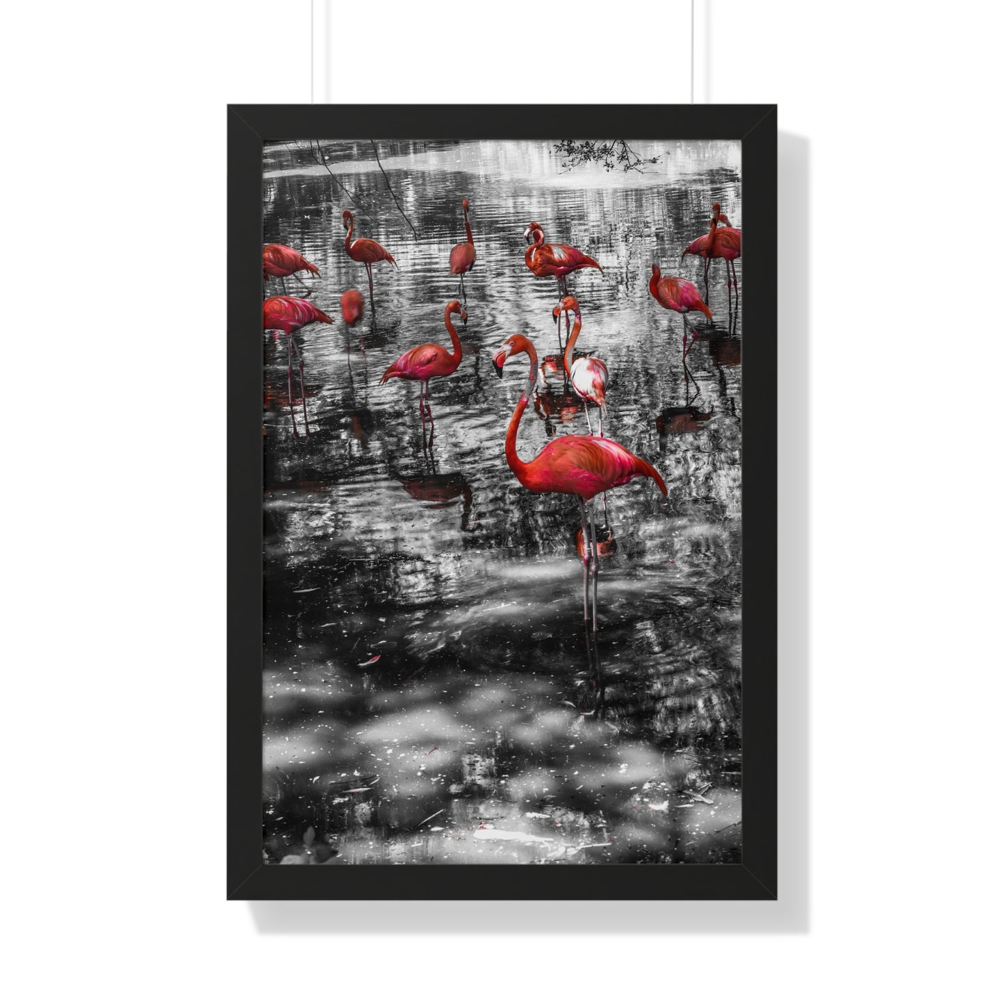 Flamingo Elegance: A Splash of Color- Framed Photography Print