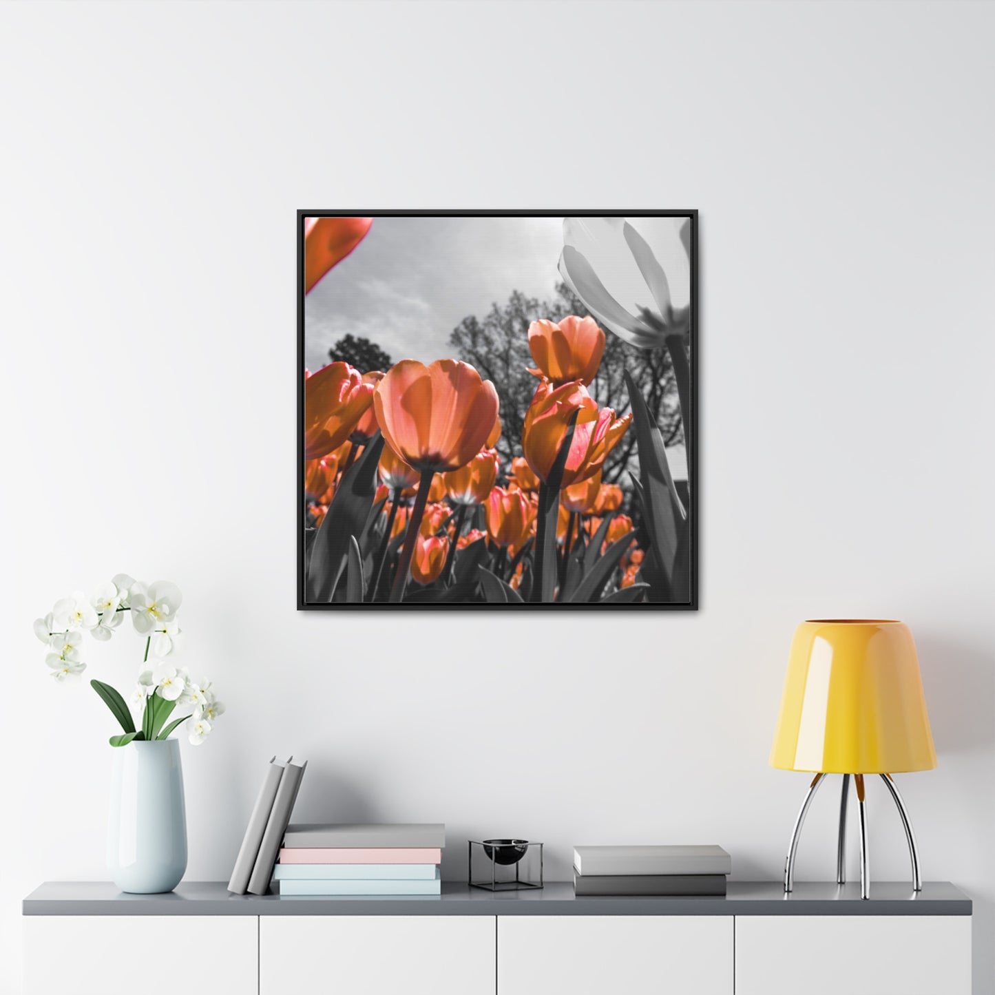 Radiant Peach Tulips at Cheekwood Gardens - Framed Canvas Print