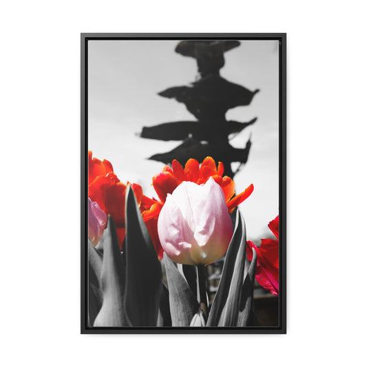 Blooming Pathways at Cheekwood Gardens - Framed Canvas Print