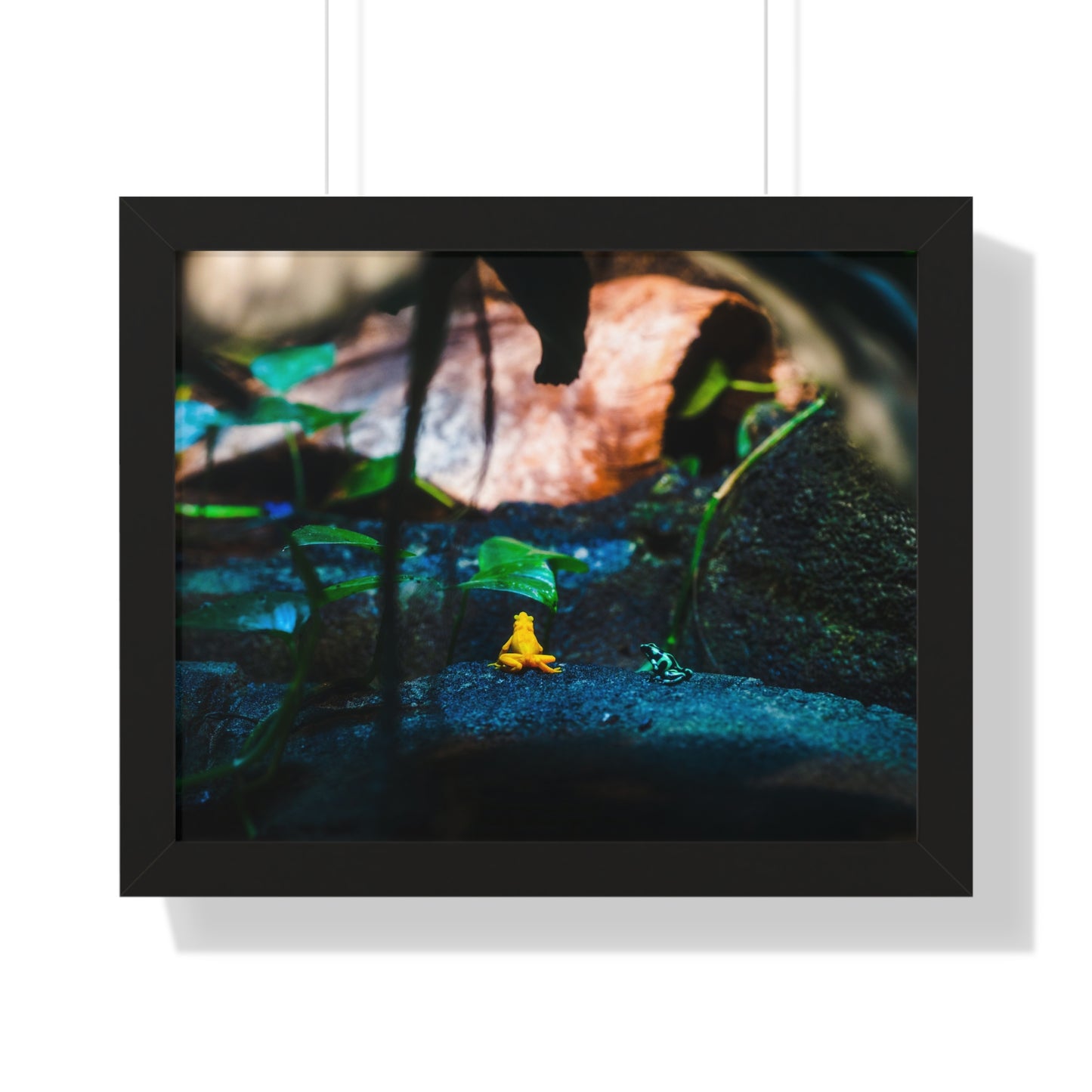 Colorful Contrast: Frogs in Their Habitat - Framed Photography Print