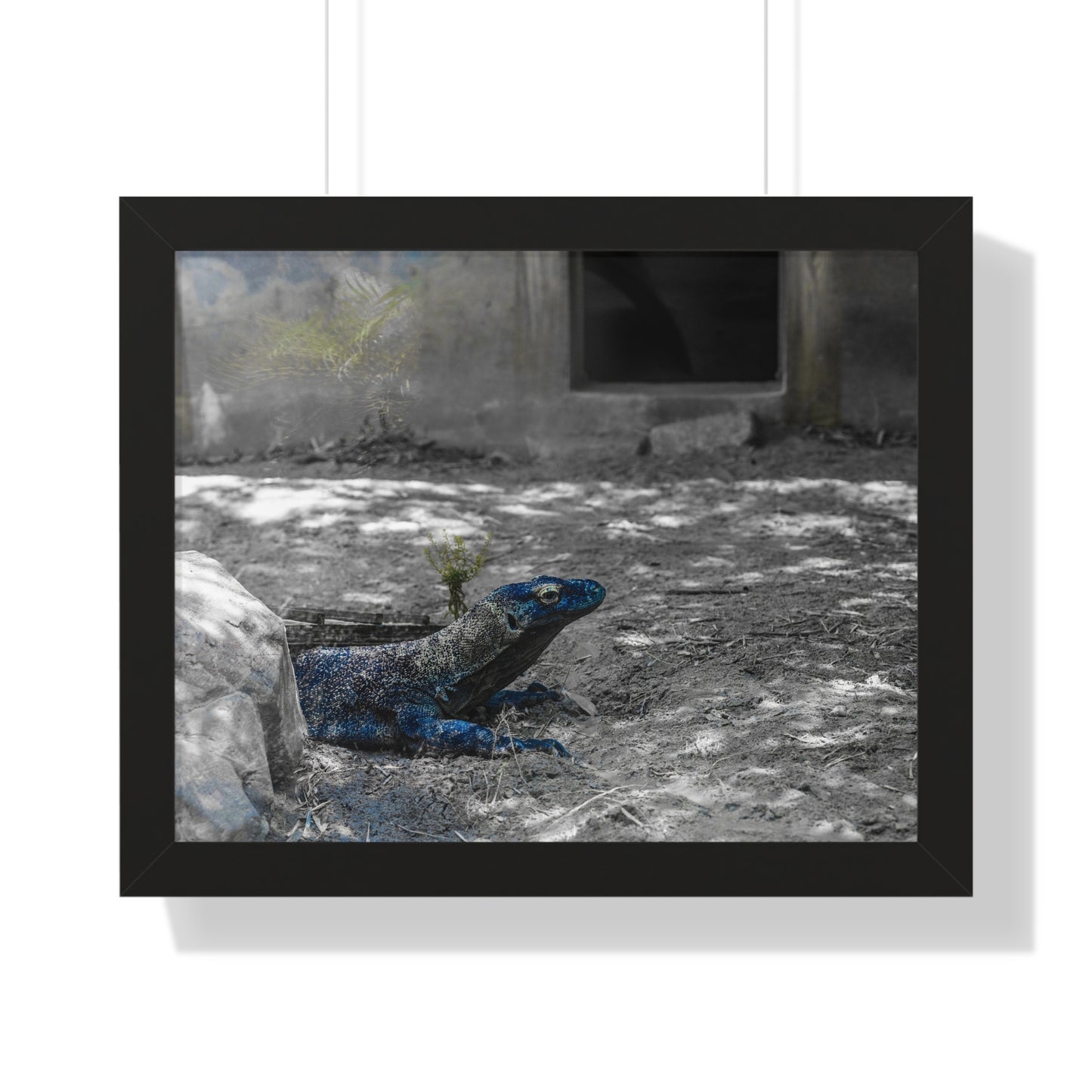 Majestic Lizard: A Study in Color and Form - Framed Photography Print