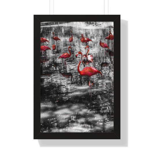 Flamingo Elegance: A Splash of Color- Framed Photography Print
