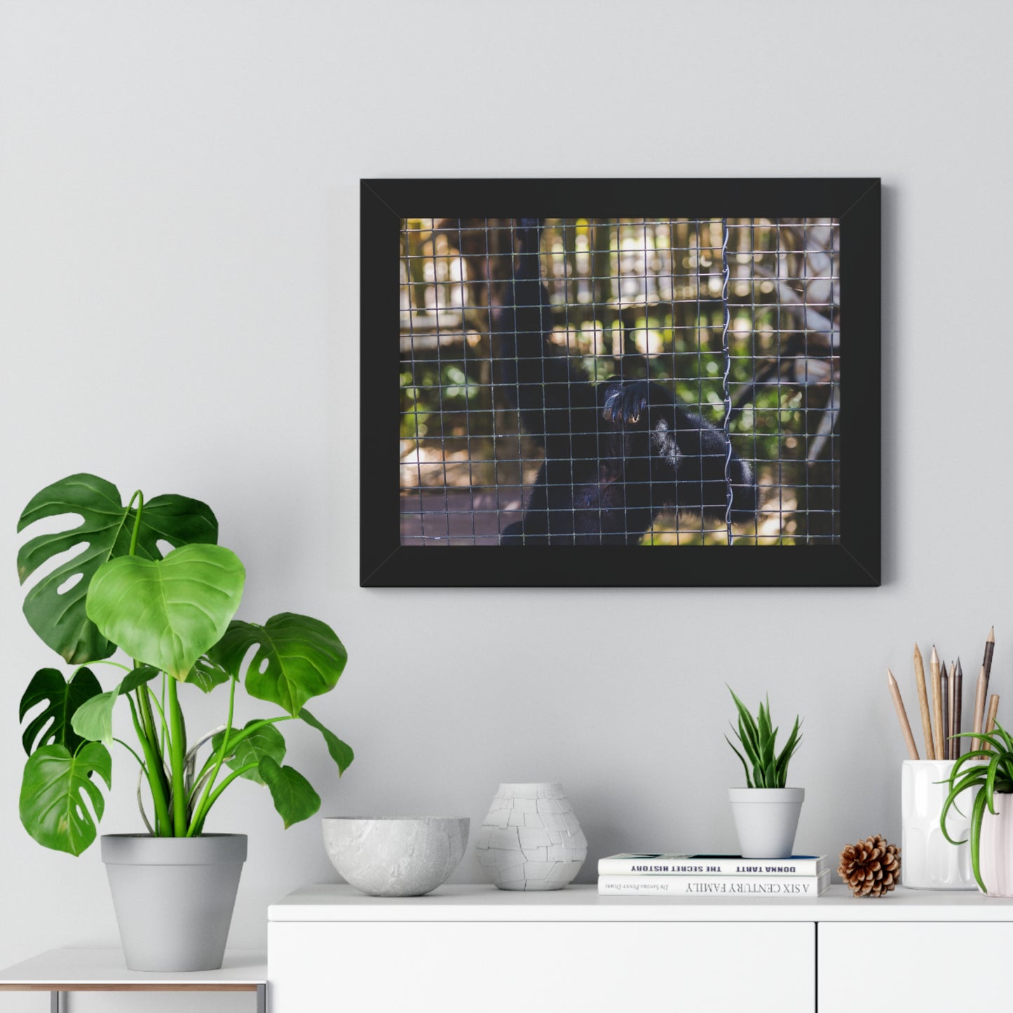 Behind the Bars: A Moment with a Black Howler Monkey - Framed Photography Print