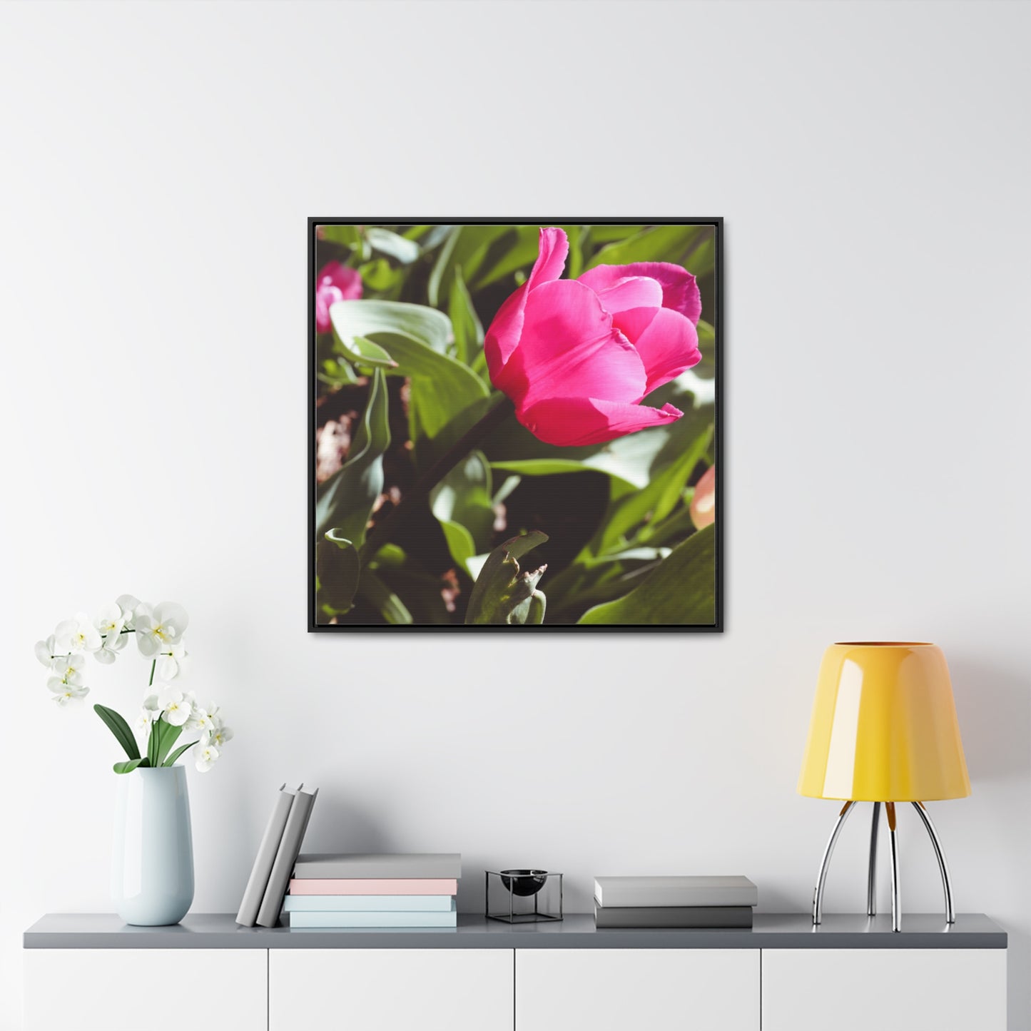 Elegant Pink Tulip at Cheekwood Gardens - Framed Canvas Prin