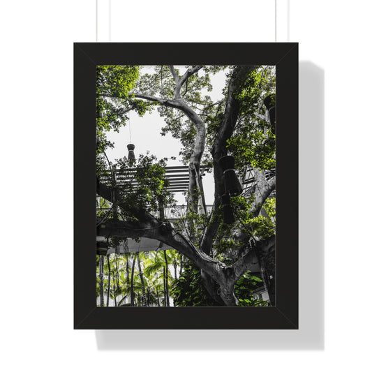 Hawaiian Park: Enchanted Tree with Lanterns - Photography Print