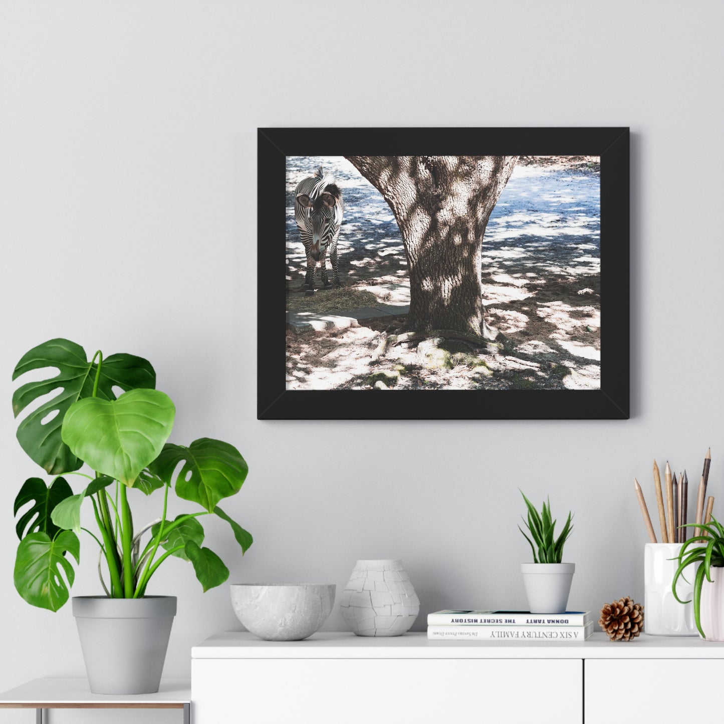 Stripes in the Shade: A Zebra's Retreat - Framed Photography Print