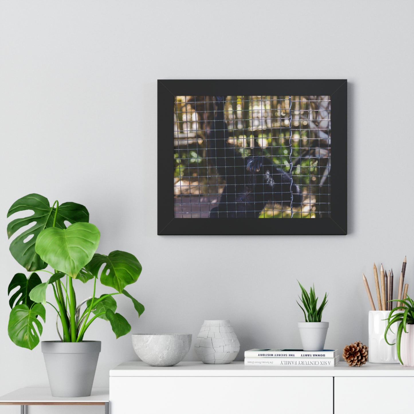 Behind the Bars: A Moment with a Black Howler Monkey - Framed Photography Print