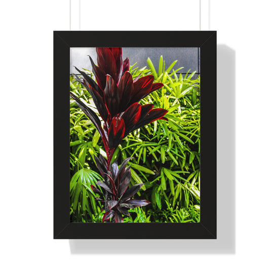 Tropical Elegance: Vibrant Hawaiian Plant - Photography Print