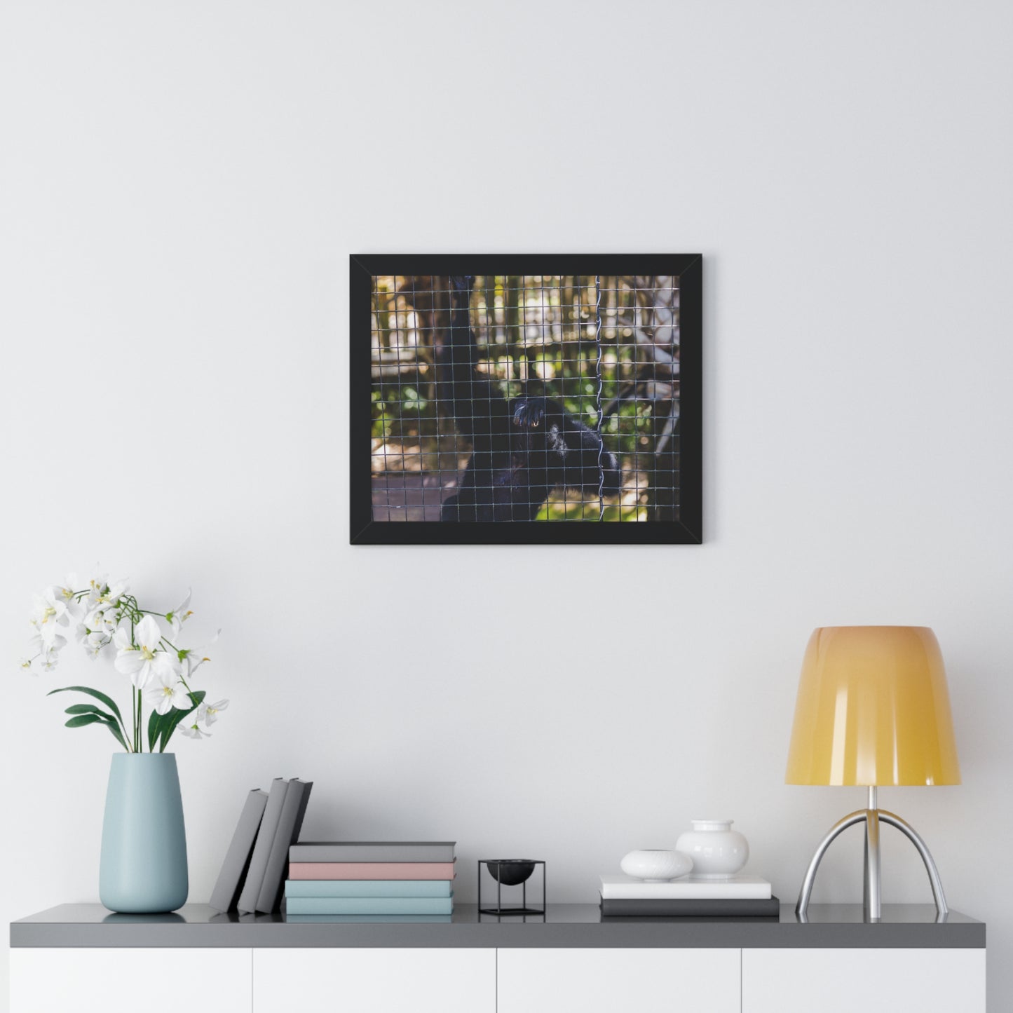 Behind the Bars: A Moment with a Black Howler Monkey - Framed Photography Print