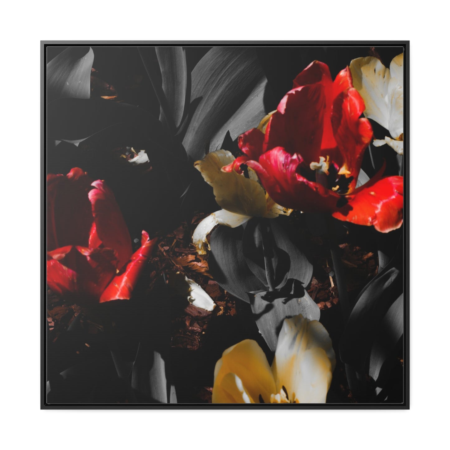 Cheekwood Gardens Blooms: Framed Canvas Print