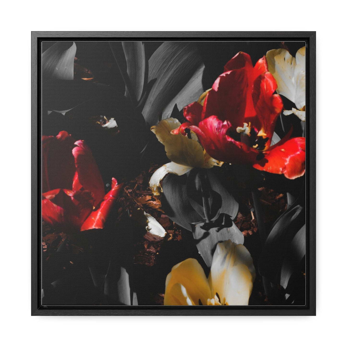 Cheekwood Gardens Blooms: Framed Canvas Print
