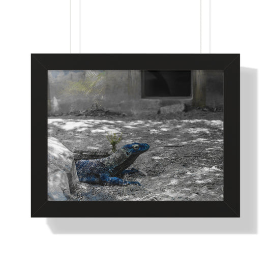 Majestic Lizard: A Study in Color and Form - Framed Photography Print