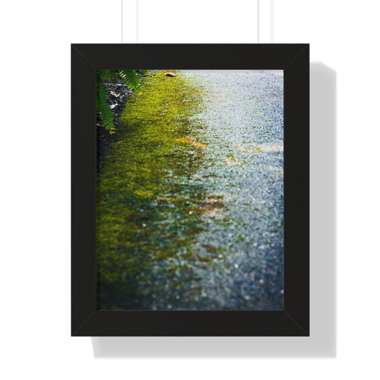 Moss-Covered Pathway Photography Print