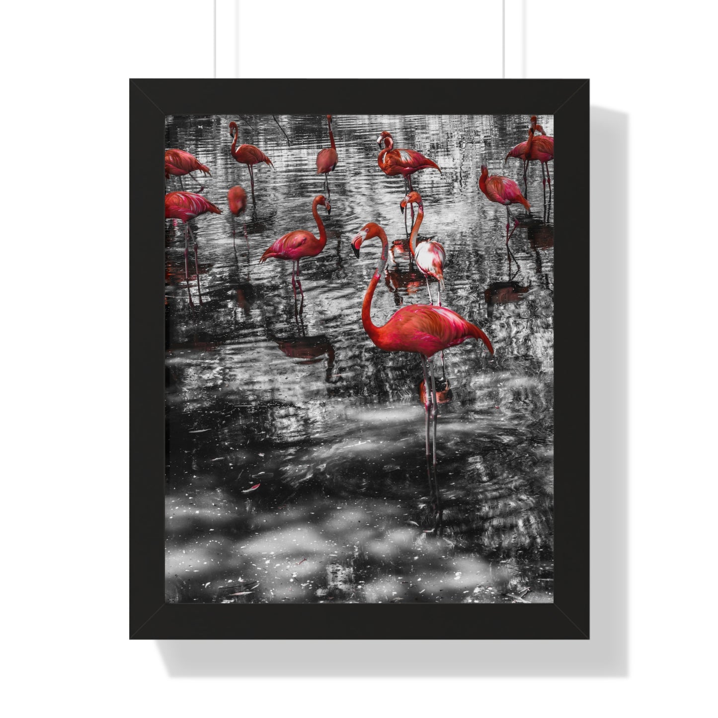 Flamingo Elegance: A Splash of Color- Framed Photography Print