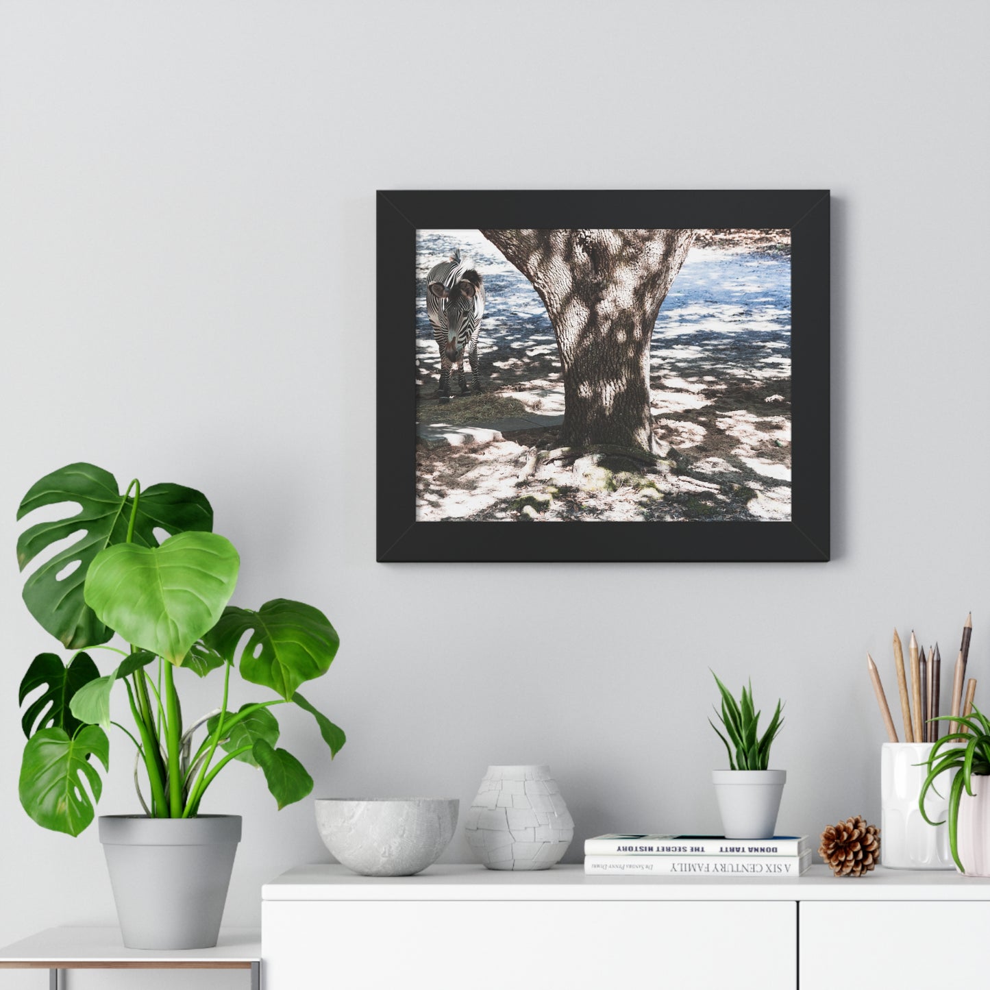Stripes in the Shade: A Zebra's Retreat - Framed Photography Print
