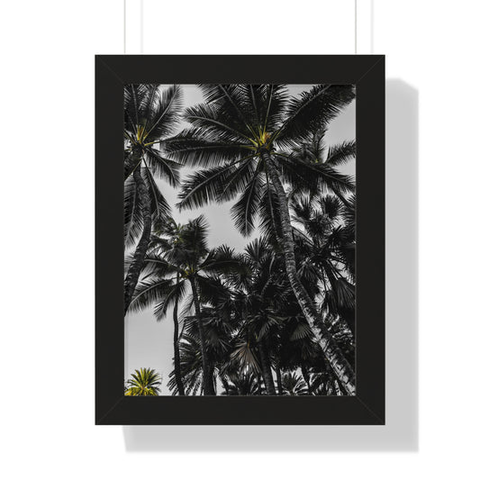 Hawaiian Bliss: Majestic Palm Trees - Photography Print