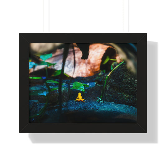 Colorful Contrast: Frogs in Their Habitat - Framed Photography Print