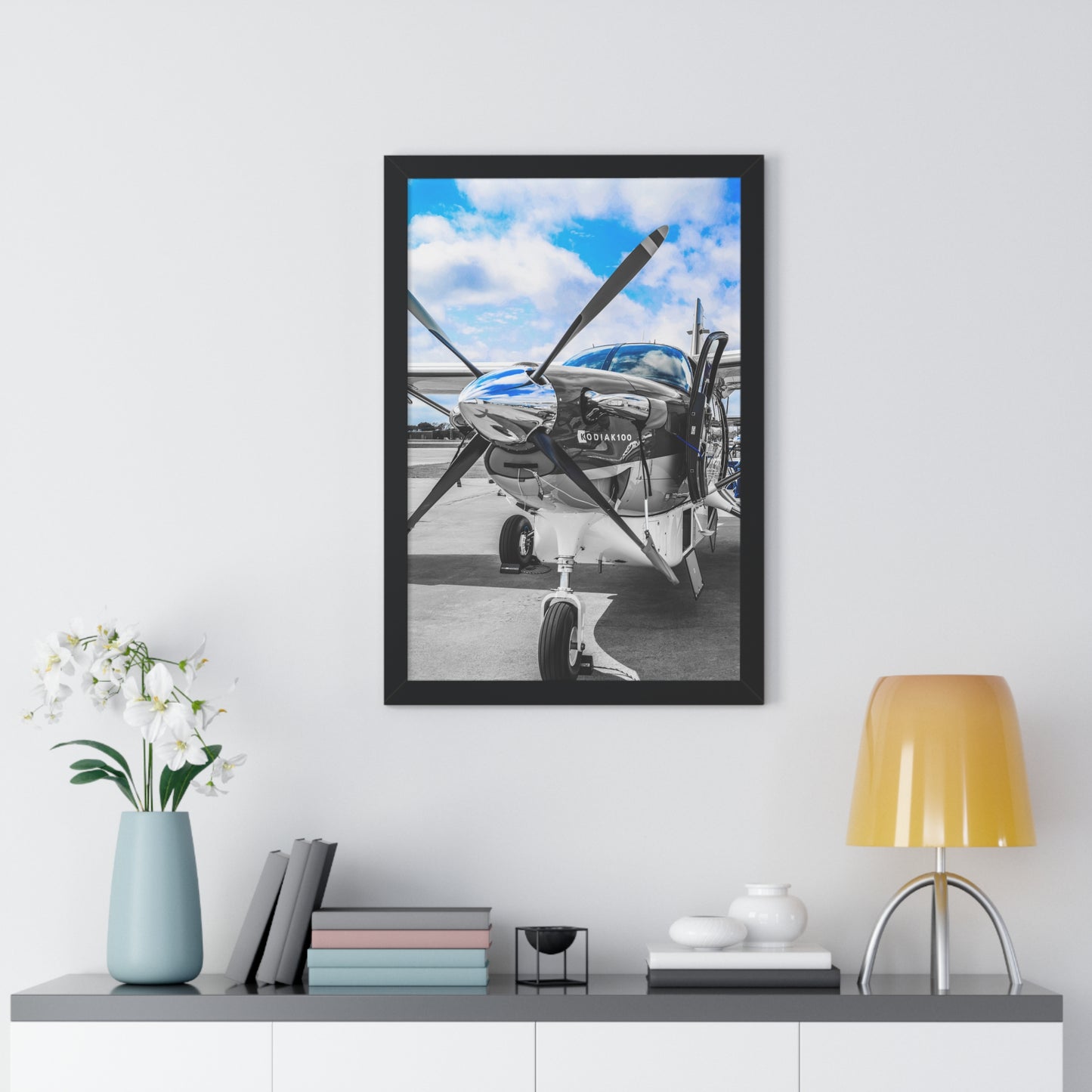 Kodiak Majesty: Airplane - Framed Photography Print