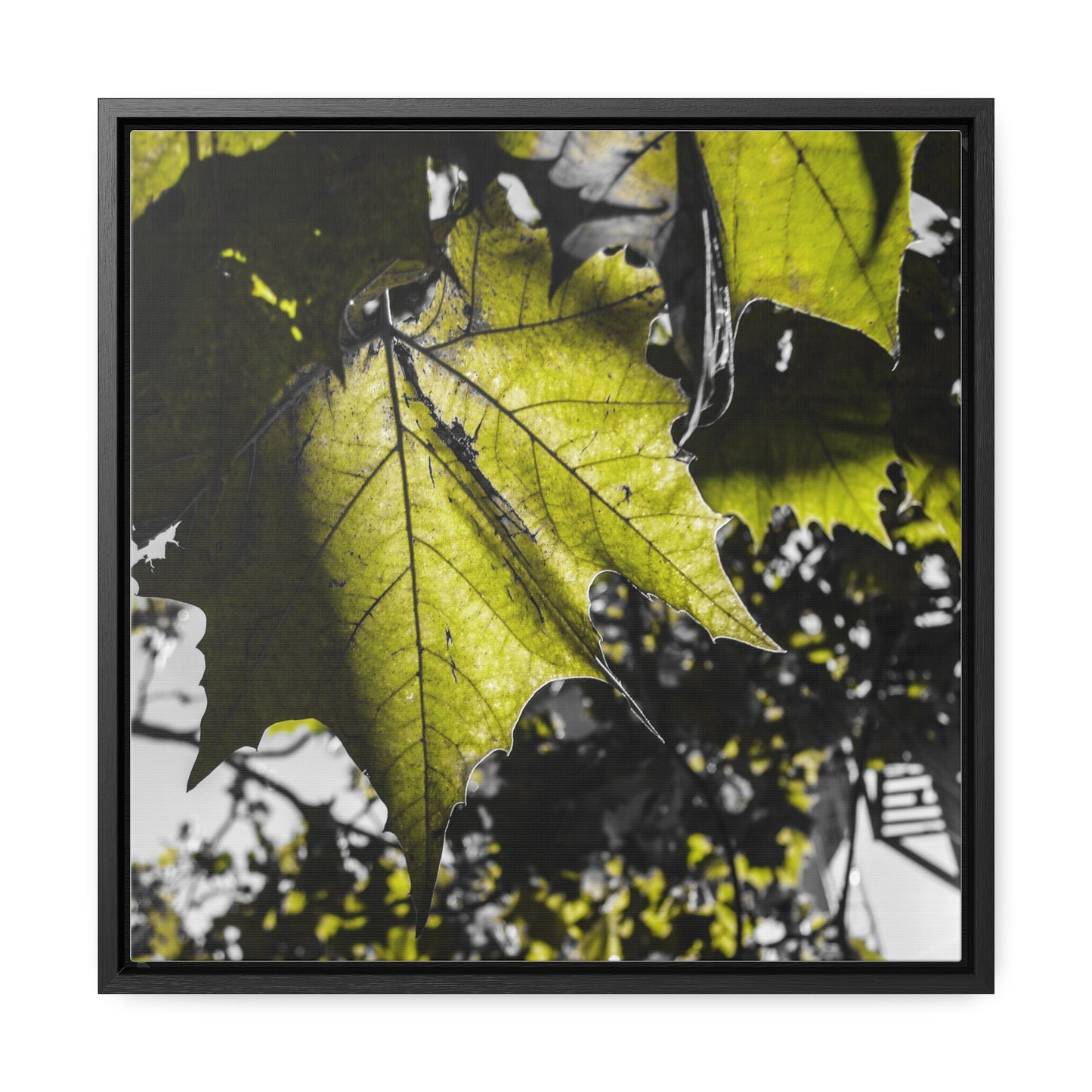 Nature's Detail: Close-Up Leaves Framed Canvas Print