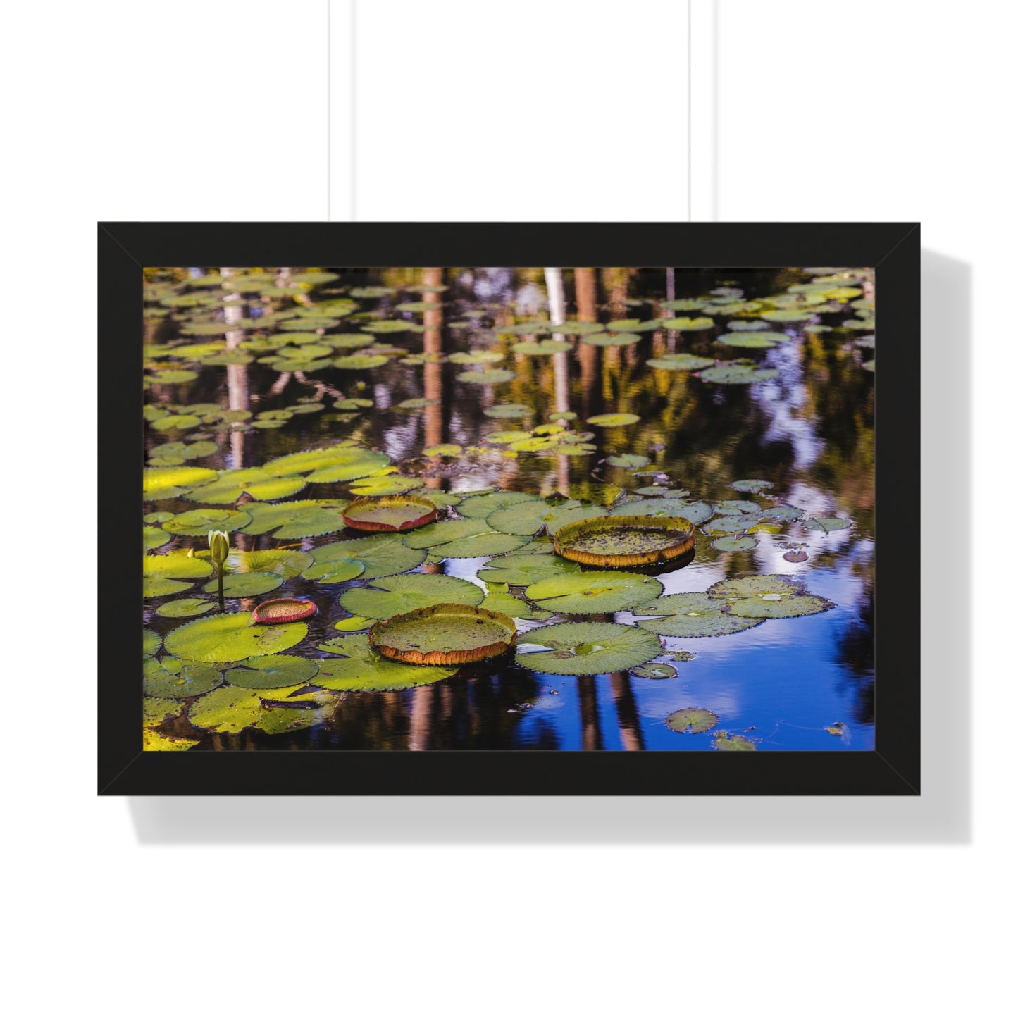 Serene Lily Pads at Bok Tower Gardens-Framed Photography Print