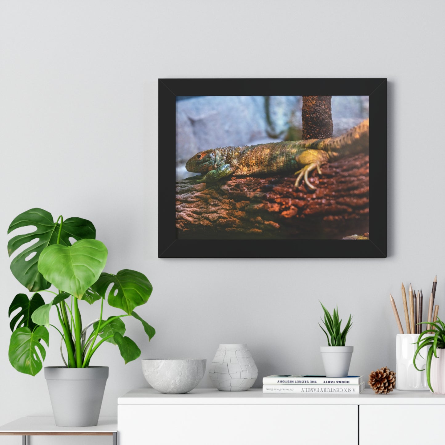 Serene Reptile: A Moment at the Jacksonville Zoo and Gardens - Framed Photography Print