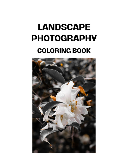 20 Page Digital Download Coloring Book-Landscape Photography