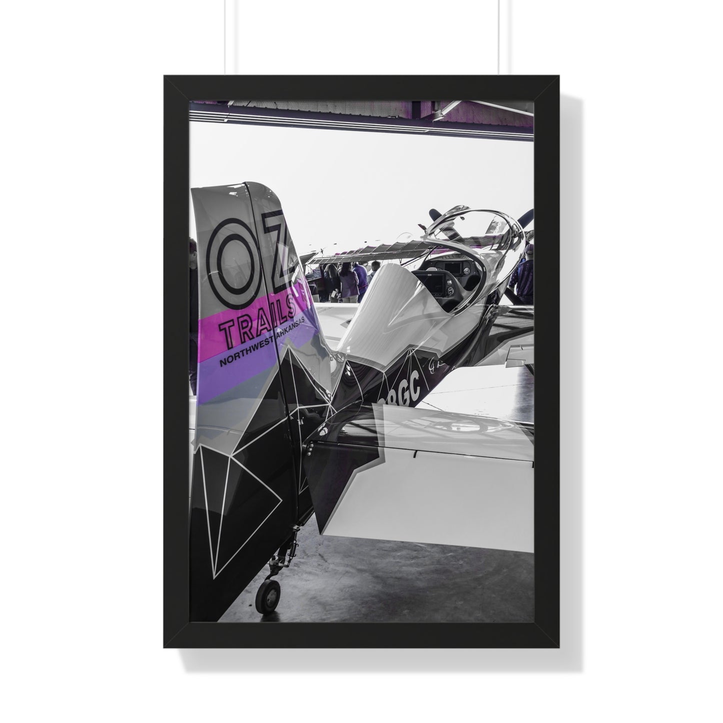 Majesty: Airplane at Texas Aviation Show - Photography Print