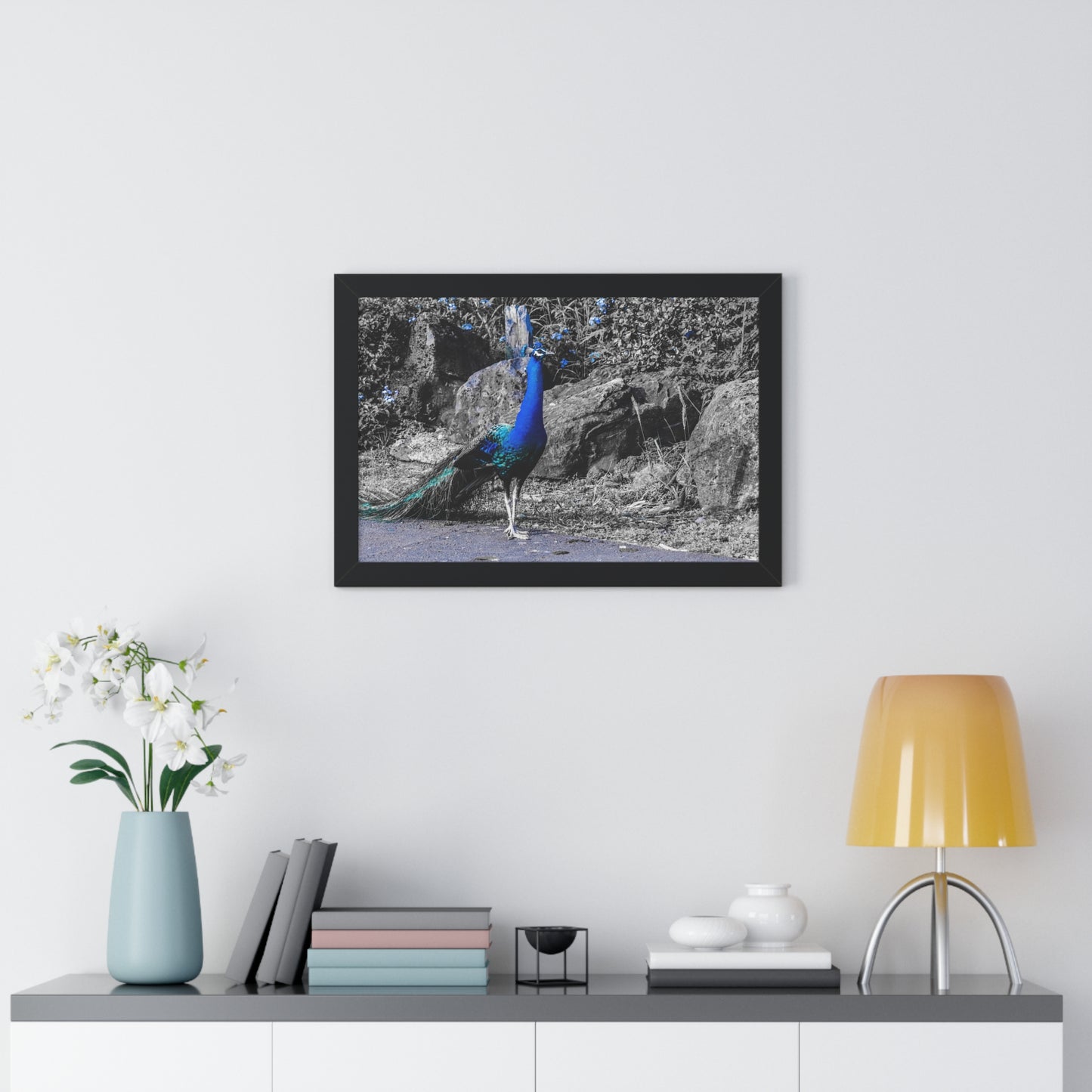 Majestic Peacock: Tropical Stroll in Hawaii - Framed Photography Print