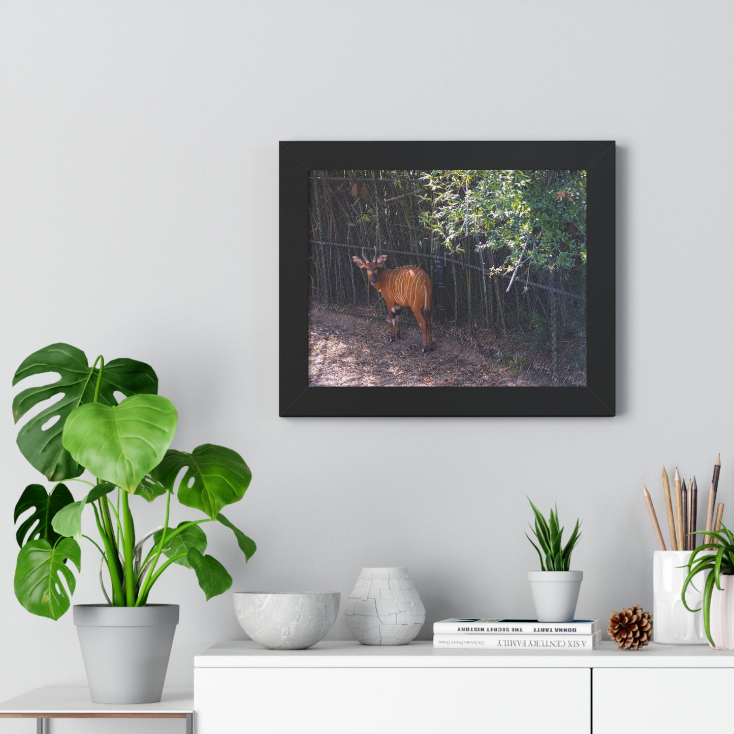Graceful Presence: A Bongo  - Framed Photography Print