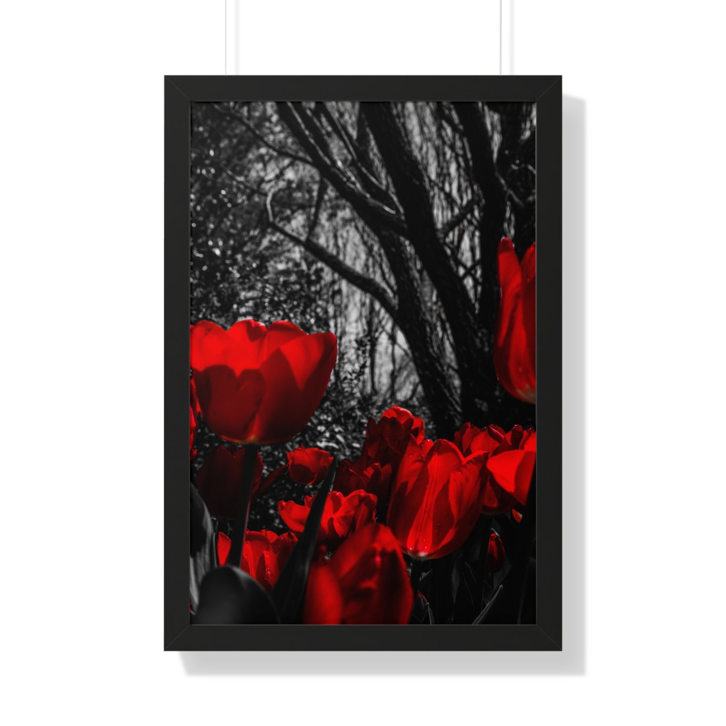 Cheekwood Estate: Blooming Flowers -  Framed Print
