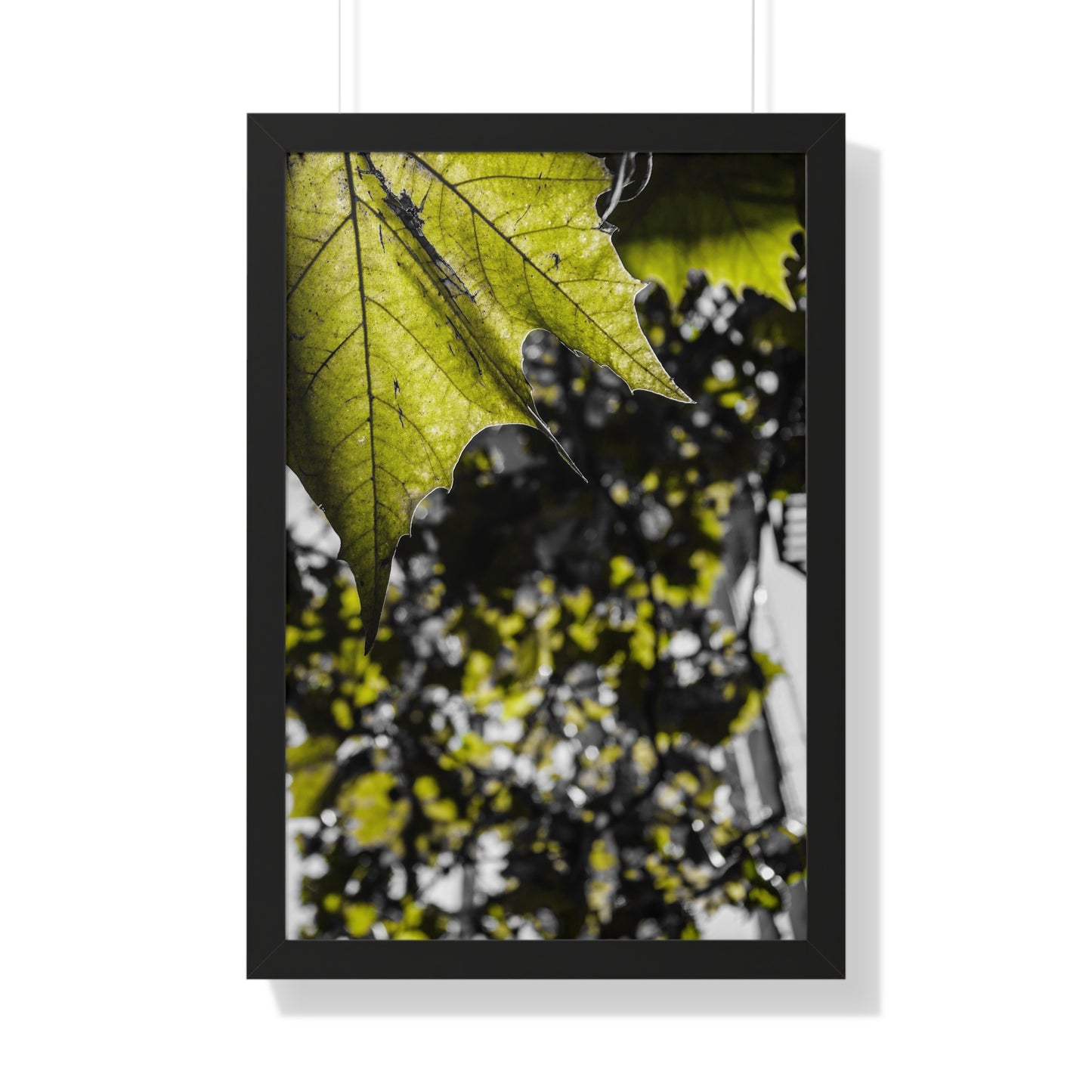 Sloss Furnaces: Nature's Embrace - Close-Up of Leaves - Framed Print