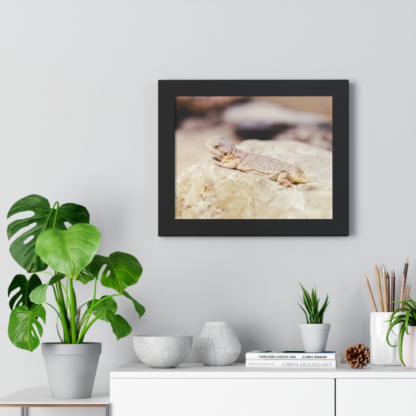Sun-Kissed Serenity: A Lizard on a Rock - Framed Photography Print