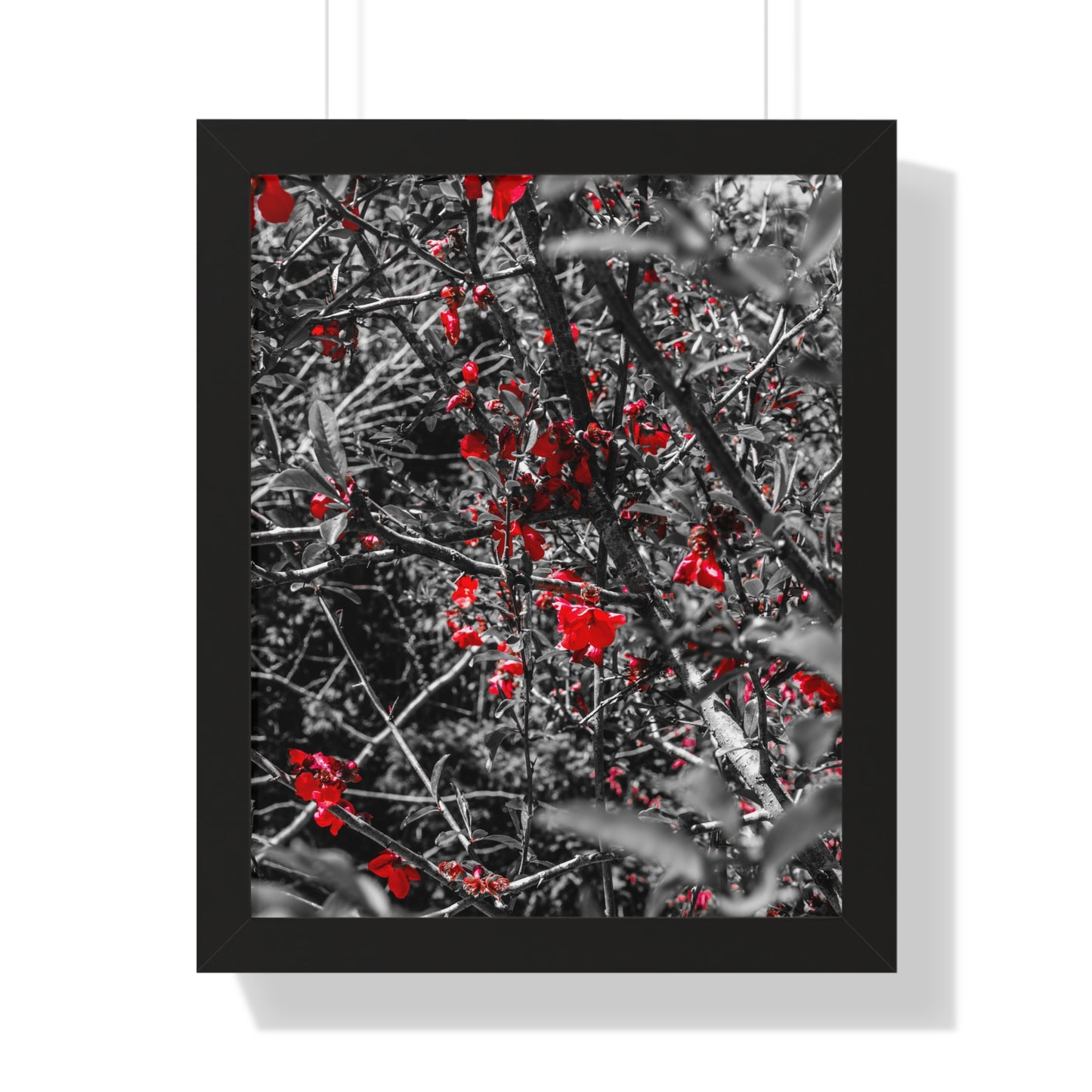 Vertical Poster - Cheekwood Gardens Red Floral Photography Print
