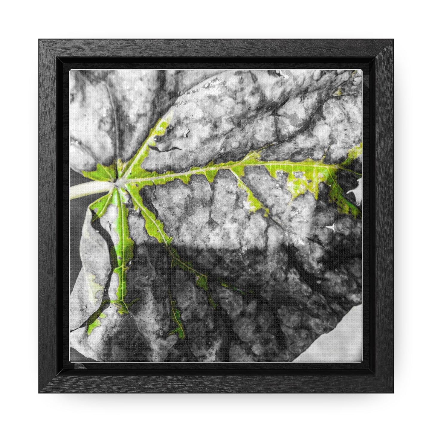 Sloss Furnaces: Fallen Leaf - Canvas Print