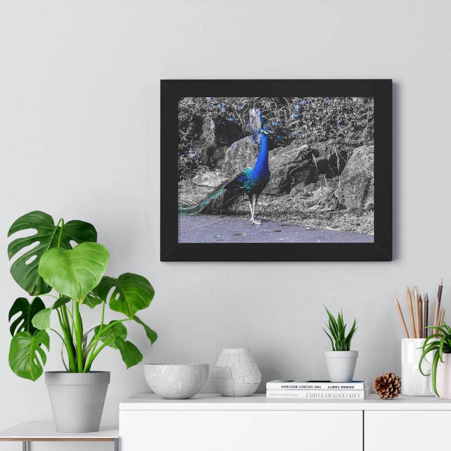 Majestic Peacock: Tropical Stroll in Hawaii - Framed Photography Print