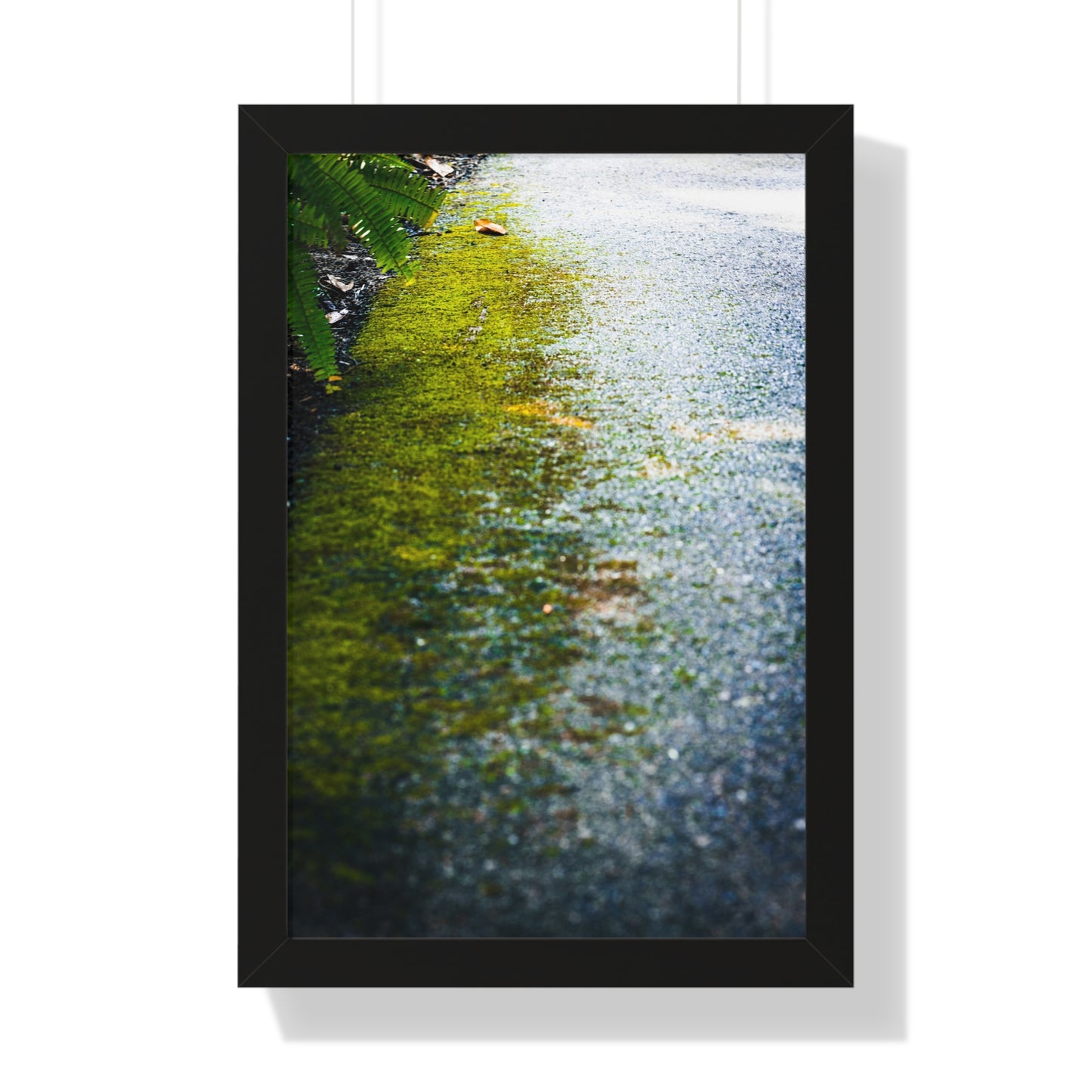 Moss-Covered Pathway Photography Print